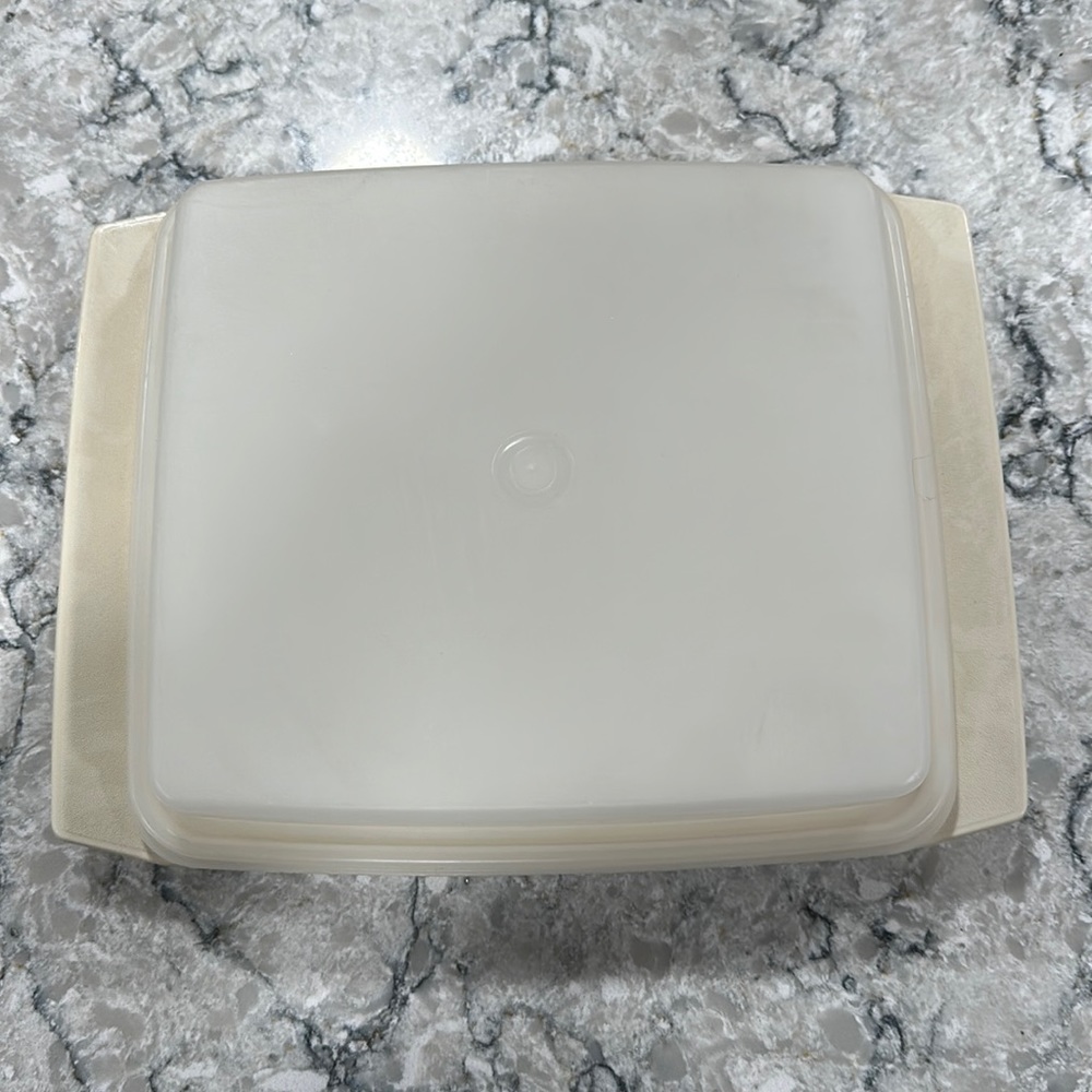 Tupperware Egg Carrier